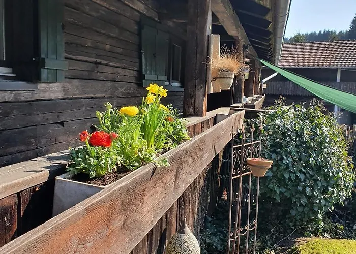 Naturidyll Kollnbergmuehle Σπίτι διακοπών *